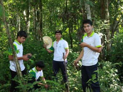 โครงการปลูกป่าเฉลิมพระเกียรติ