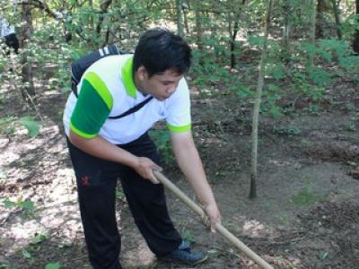 โครงการปลูกป่าเฉลิมพระเกียรติ