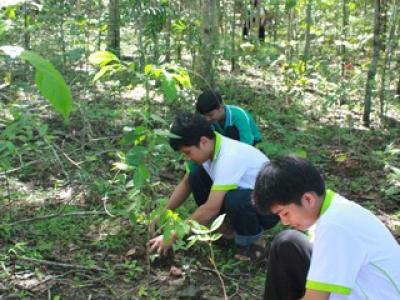 โครงการปลูกป่าเฉลิมพระเกียรติ