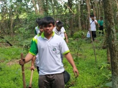 โครงการปลูกป่าเฉลิมพระเกียรติ