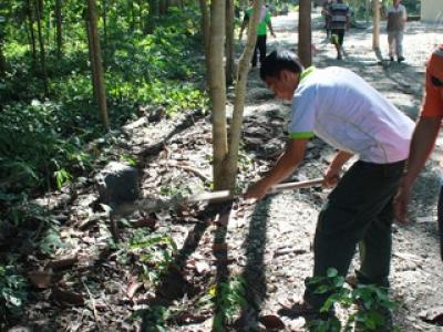 โครงการปลูกป่าเฉลิมพระเกียรติ