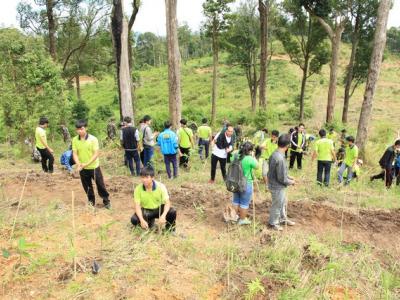 ปลูกป่าให้ช้าง เขตรักษาพันธ์สัตว์ป่าภูหลวง 23 ส.ค. 57