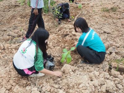 60-ปลูกต้นกล้าบูชาพระธรรม