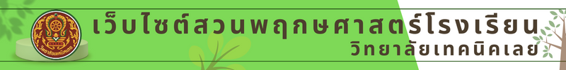 เว็บไซต์สวนพฤกษศาตร์ วิทยาลัยเทคนิคเลย